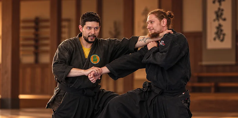 Budō Taijutsu